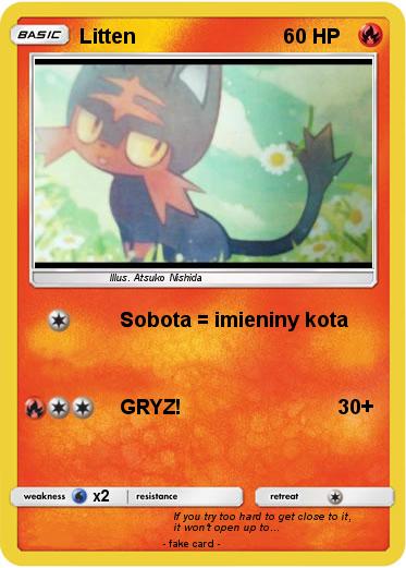 Pokemon Litten