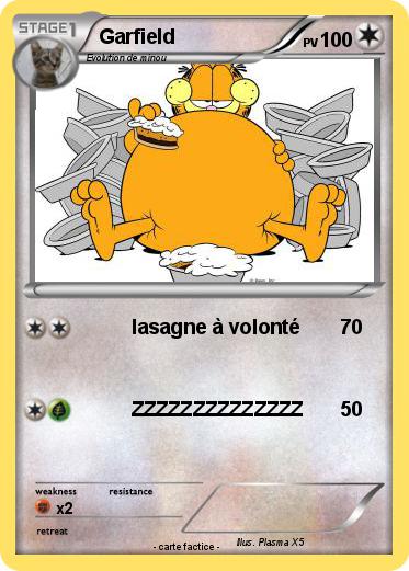 Pokemon Garfield
