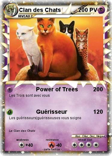 Pokemon Clan des Chats