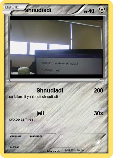 Pokemon shnudiadi