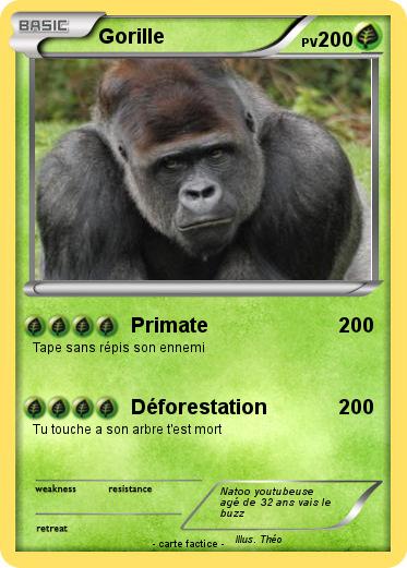 Pokemon Gorille
