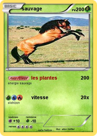 Pokemon sauvage