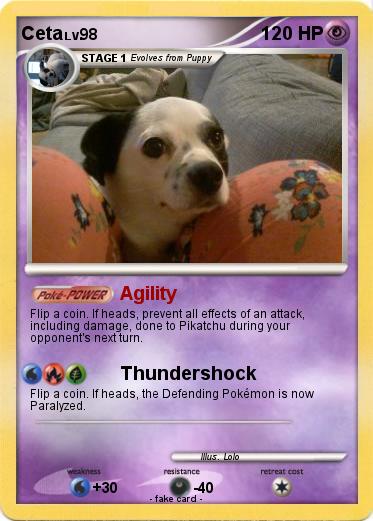 Pokemon Ceta
