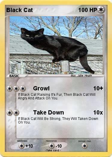 Pokemon Black Cat