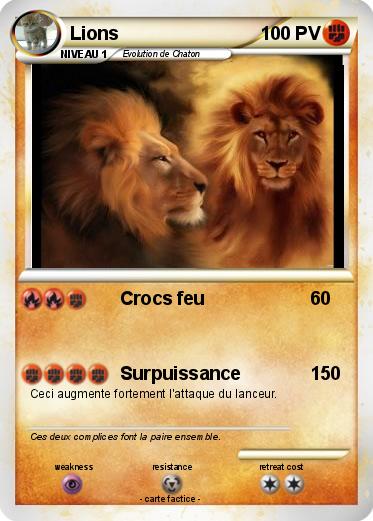 Pokemon Lions