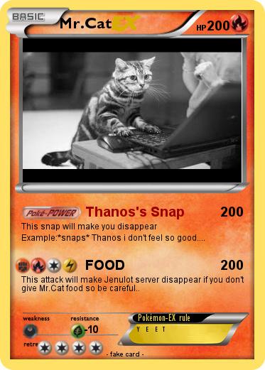 Pokemon Mr.Cat