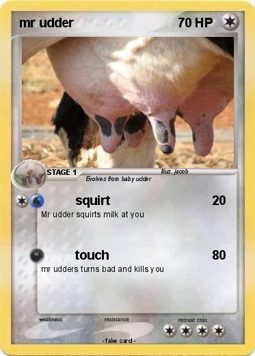 Pokemon mr udder