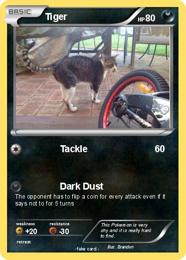Pokemon Tiger