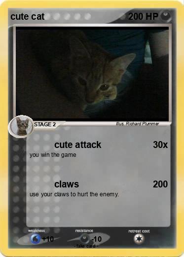 Pokemon cute cat
