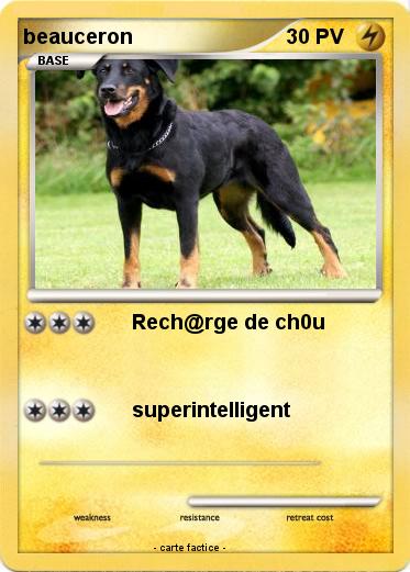 Pokemon beauceron