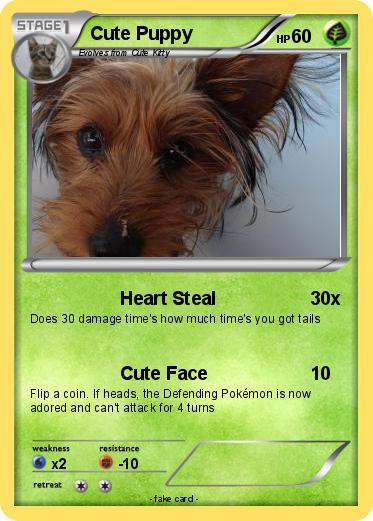 Pokemon Cute Puppy