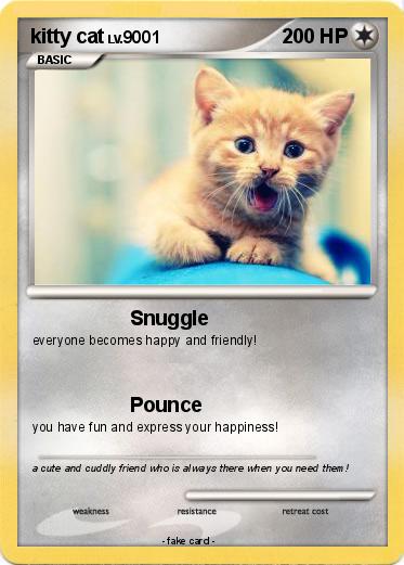 Pokemon kitty cat