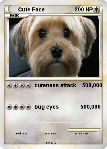 Pokemon Cute Face