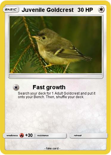 Pokemon Juvenile Goldcrest