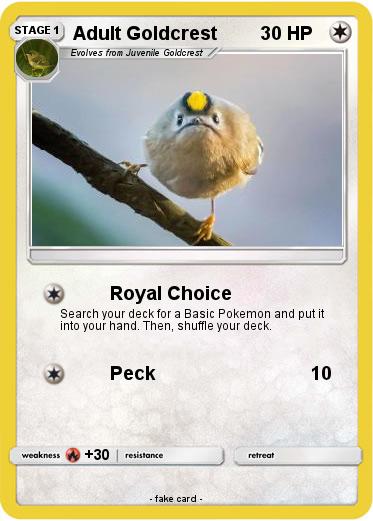 Pokemon Adult Goldcrest