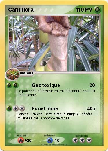 Pokemon Carniflora