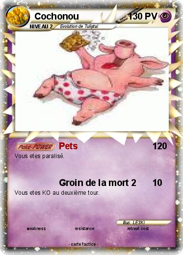 Pokemon Cochonou