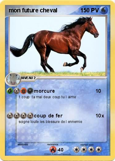 Pokemon mon future cheval