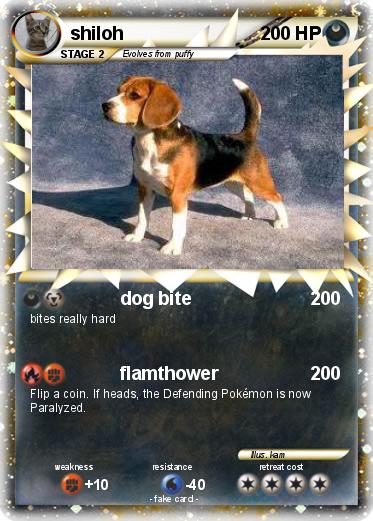 Pokemon shiloh
