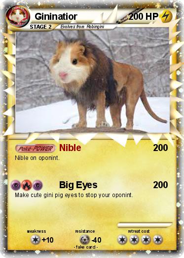 Pokemon Gininatior