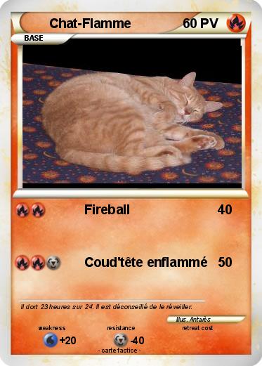 Pokemon Chat-Flamme