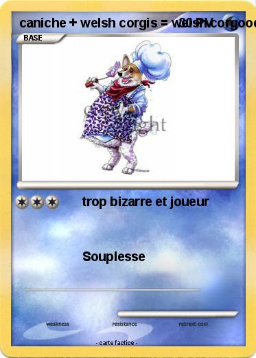 Pokemon caniche + welsh corgis = welsh corgoodle