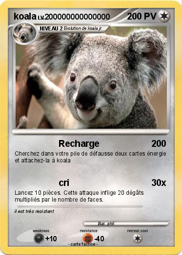Pokemon koala