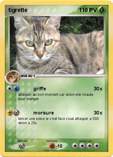 Pokemon tigrette