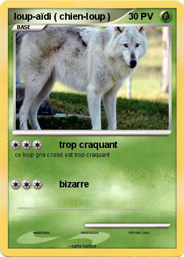 Pokemon loup-aïdi ( chien-loup )