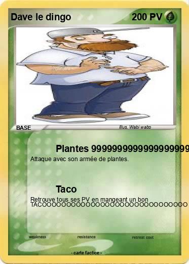 Pokemon Dave le dingo