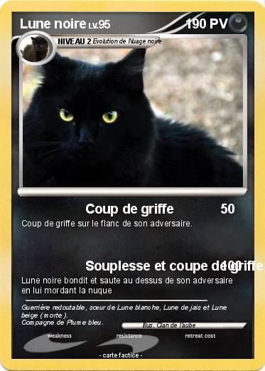 Pokemon Lune noire
