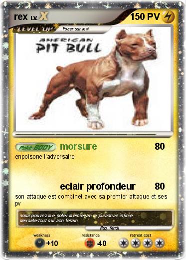 Pokemon rex