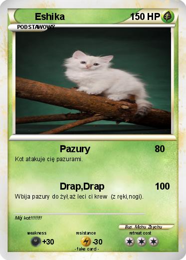 Pokemon Eshika