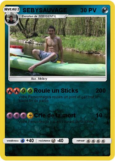 Pokemon SEBYSAUVAGE