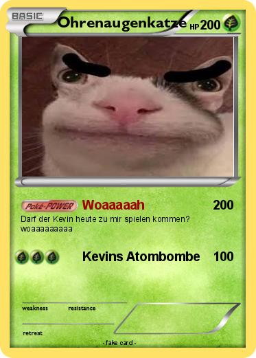 Pokemon Ohrenaugenkatze
