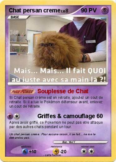 Pokemon Chat persan creme