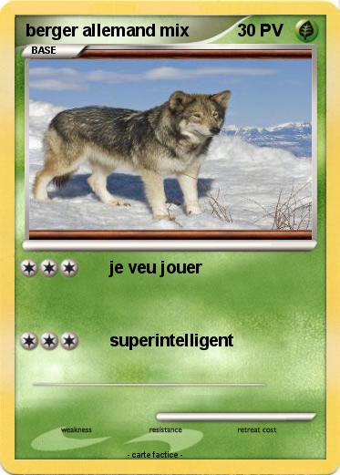 Pokemon berger allemand mix