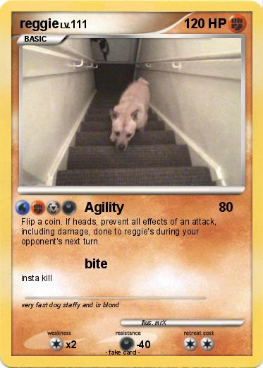 Pokemon reggie