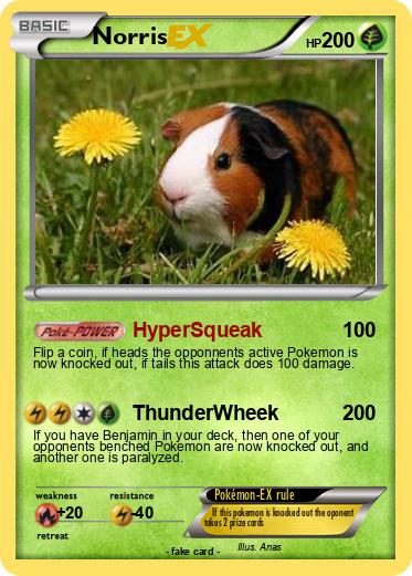 Pokemon Norris