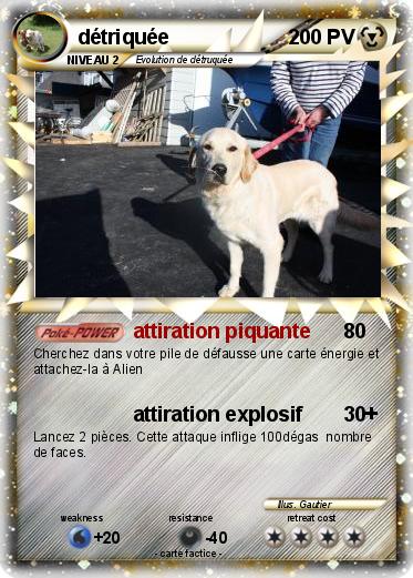 Pokemon détriquée