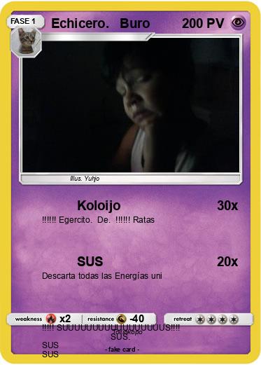 Pokemon Echicero.   Buro