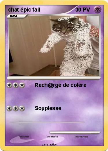 Pokemon chat épic fail