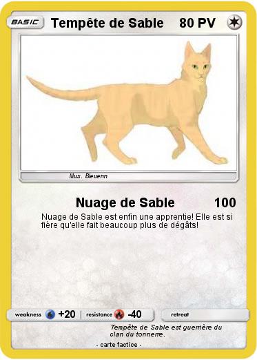 Pokemon Tempête de Sable