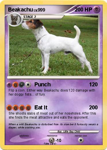 Pokemon Beakachu