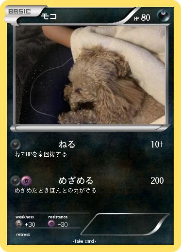 Pokemon モコ