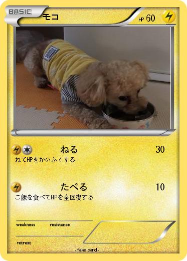 Pokemon モコ