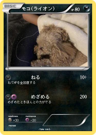 Pokemon モコ(ライオン)