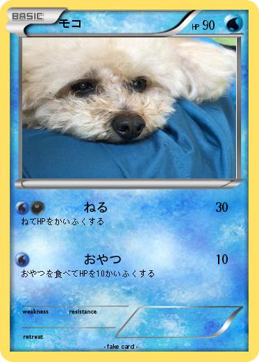 Pokemon モコ