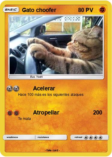 Pokemon Gato choofer