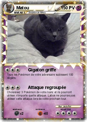 Pokemon Matou